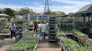 Garden centre planteria